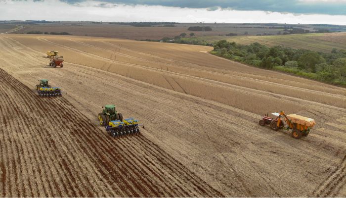 Foto: Gilson Abreu/AEN Vazio sanitário: plantio da soja está liberado no Norte, Noroeste, Centro-Oeste e Oeste do Paraná
